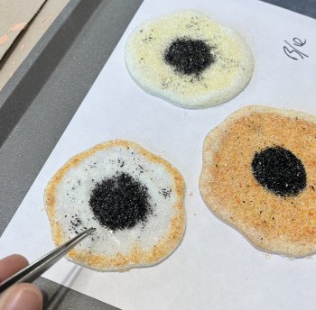 Using fusible glass, frits, crushed glass and copper stems to create your flowers