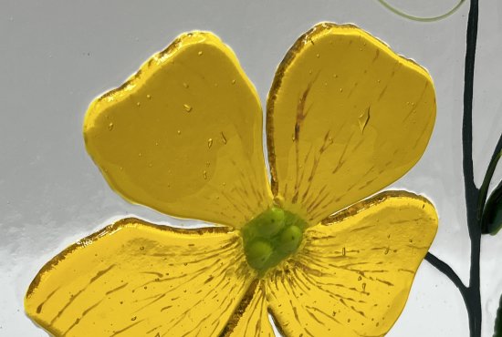 Original Primrose themed fused glass art by Jenny Timms of Vitreus Art, on show at the gallery near Towcester and Milton Keynes in Northants