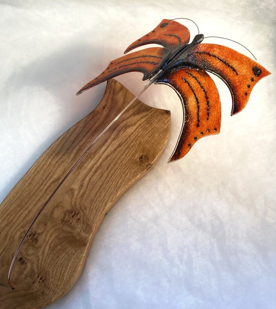 Red Admiral butterfly Original fused glass art by Vitreus Art, on show at the gallery near Towcester and Milton Keynes in Northants