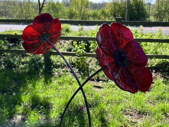 Steel and Glass red poppies garden sculpture